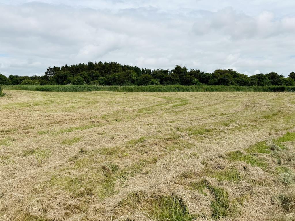 Lot: 163 - APPROXIMATELY NINE ACRES LAND INCORPORATING FLIGHT POND IN IDYLLIC LOCATION - View of land 3